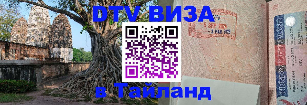 Сколько стоит DTV виза — актуальные цены, оформление даже без документов - Казань 